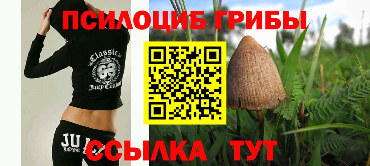 купить наркотик  Вход с VPN  Кириши  Псилоцибиновые грибы мухоморы 